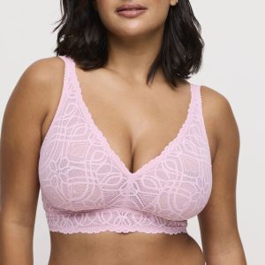 SALERNO SNR Spring Rose