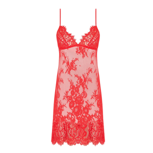 Desirs De Venise 2536 GV/GRENAT
